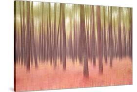 Blurred Trees 5-Moises Levy-Stretched Canvas