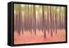 Blurred Trees 5-Moises Levy-Framed Stretched Canvas