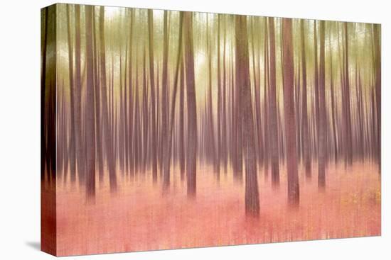 Blurred Trees 5-Moises Levy-Stretched Canvas