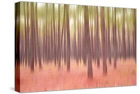 Blurred Trees 5-Moises Levy-Stretched Canvas