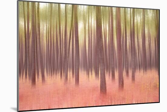 Blurred Trees 5-Moises Levy-Mounted Giclee Print