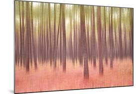 Blurred Trees 5-Moises Levy-Mounted Giclee Print