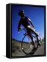 Blurred View of Cyclist-null-Framed Stretched Canvas
