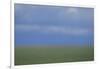 Blurry Green Field-DLILLC-Framed Photographic Print