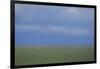 Blurry Green Field-DLILLC-Framed Photographic Print