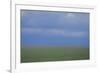 Blurry Green Field-DLILLC-Framed Photographic Print