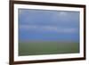 Blurry Green Field-DLILLC-Framed Photographic Print