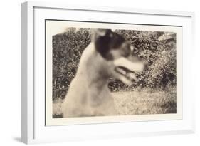 Blurry Photo of Fox Terrier-null-Framed Art Print