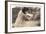 Blurry Photo of Fox Terrier-null-Framed Art Print