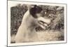 Blurry Photo of Fox Terrier-null-Mounted Art Print