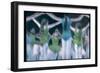 Blurry Timed Exposure of Children from New York City Ballet in Performance of Circus Polka-Gjon Mili-Framed Photographic Print