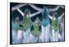 Blurry Timed Exposure of Children from New York City Ballet in Performance of Circus Polka-Gjon Mili-Framed Premium Photographic Print