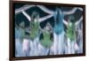 Blurry Timed Exposure of Children from New York City Ballet in Performance of Circus Polka-Gjon Mili-Framed Premium Photographic Print