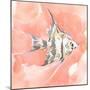 Blush and Ochre Angel Fish I-Jacob Green-Mounted Art Print