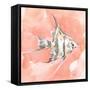 Blush and Ochre Angel Fish I-Jacob Green-Framed Stretched Canvas