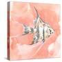 Blush and Ochre Angel Fish I-Jacob Green-Stretched Canvas