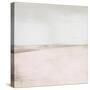 Blush Balance II-Dan Meneely-Stretched Canvas