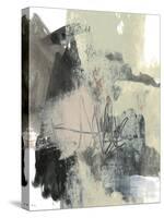 Blush & Black I-Jennifer Goldberger-Stretched Canvas