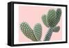 Blush Cactus 1 v2-Kimberly Allen-Framed Stretched Canvas