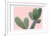 Blush Cactus 1 v2-Kimberly Allen-Framed Art Print