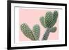 Blush Cactus 1 v2-Kimberly Allen-Framed Art Print