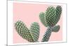 Blush Cactus 1 v2-Kimberly Allen-Mounted Art Print