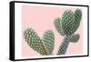 Blush Cactus 1 v2-Kimberly Allen-Framed Stretched Canvas