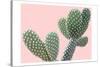 Blush Cactus 1 v2-Kimberly Allen-Stretched Canvas