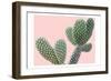 Blush Cactus 1 v2-Kimberly Allen-Framed Art Print