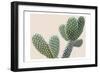 Blush Cactus 1-Kimberly Allen-Framed Art Print