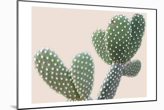 Blush Cactus 1-Kimberly Allen-Mounted Art Print