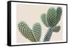 Blush Cactus 1-Kimberly Allen-Framed Stretched Canvas