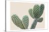 Blush Cactus 1-Kimberly Allen-Stretched Canvas