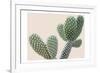 Blush Cactus 1-Kimberly Allen-Framed Art Print