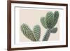 Blush Cactus 1-Kimberly Allen-Framed Art Print