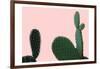 Blush Cactus 2 v2-Kimberly Allen-Framed Art Print