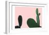 Blush Cactus 2 v2-Kimberly Allen-Framed Art Print