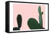 Blush Cactus 2 v2-Kimberly Allen-Framed Stretched Canvas