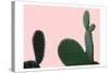 Blush Cactus 2 v2-Kimberly Allen-Stretched Canvas