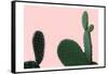 Blush Cactus 2 v2-Kimberly Allen-Framed Stretched Canvas