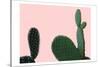 Blush Cactus 2 v2-Kimberly Allen-Stretched Canvas