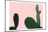 Blush Cactus 2 v2-Kimberly Allen-Mounted Premium Giclee Print