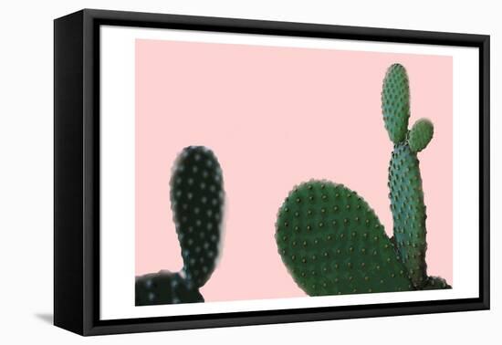 Blush Cactus 2 v2-Kimberly Allen-Framed Stretched Canvas