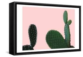 Blush Cactus 2 v2-Kimberly Allen-Framed Stretched Canvas