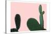 Blush Cactus 2 v2-Kimberly Allen-Stretched Canvas