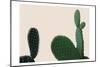 Blush Cactus 2-Kimberly Allen-Mounted Art Print