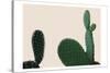 Blush Cactus 2-Kimberly Allen-Stretched Canvas