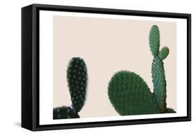 Blush Cactus 2-Kimberly Allen-Framed Stretched Canvas