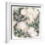 Blush & Celadon II-null-Framed Art Print