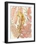 Blush Cheetah I-Annie Warren-Framed Art Print